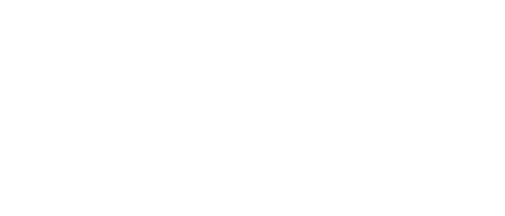 di domenico